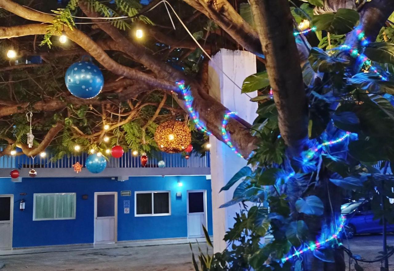 Blue Coconut Cancun Hotel Exteriör bild
