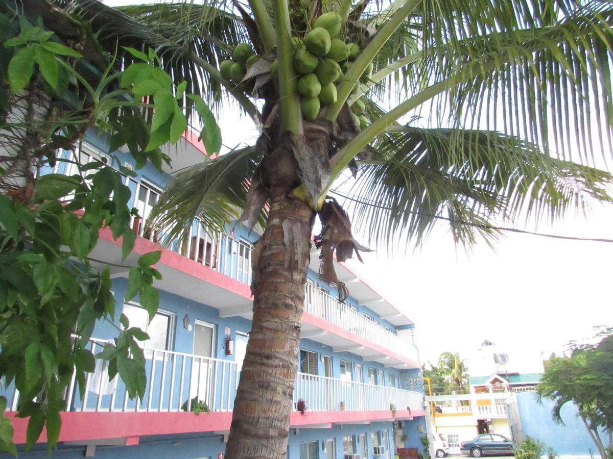 Blue Coconut Cancun Hotel Exteriör bild