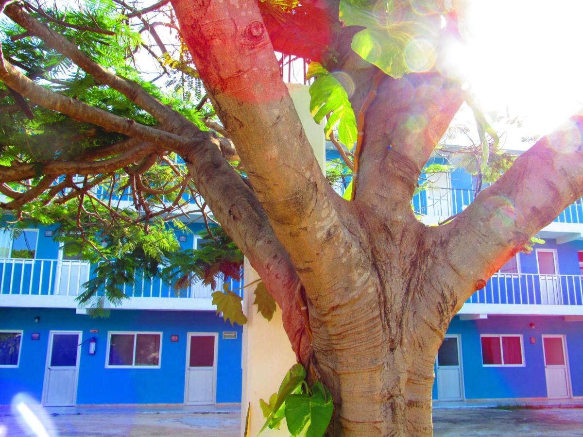Blue Coconut Cancun Hotel Exteriör bild